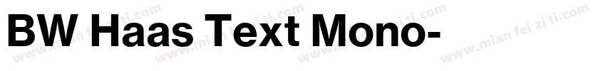 BW Haas Text Mono字体转换
